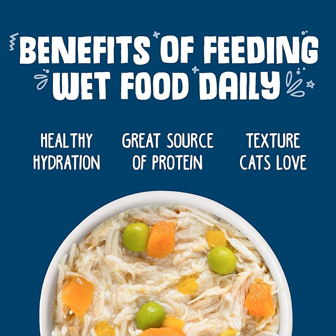 Weruva Classic Cat Food, Grandma’s Chicken Soup with Chicken Breast & Pumpkin in Gravy, 3oz Can (Pack of 24)