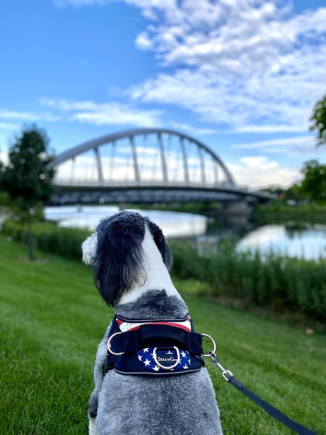 ShawnCo Essential Dog Harness, No-Pull Pet Vest with 3 Leash Clips, No Choke, Reflective, Adjustable and Padded, for Easy Walking and Training for Small, Medium and Large Dogs (Stars and Stripes, S)