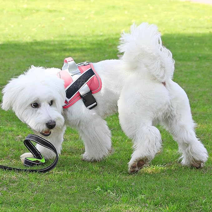 Bolux Dog Harness, No-Pull Reflective Dog Vest, Breathable Adjustable Pet Harness with Handle for Outdoor Walking - No More Pulling, Tugging or Choking (Red, S)
