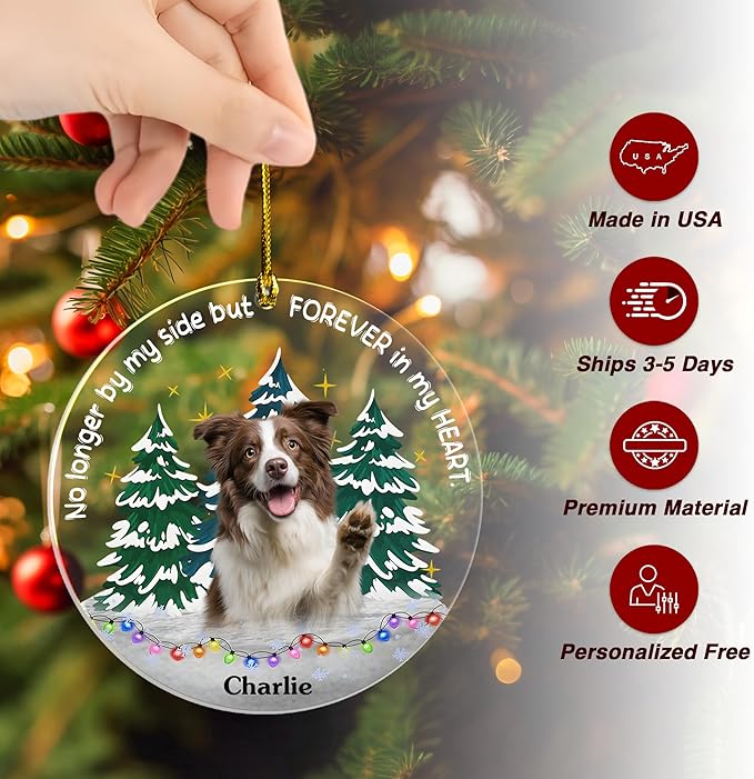Pavo Personalized Picture Frame Pet Memorial Gifts for Dogs, Cats, Pets - Personalized Decorative Hanging Ornaments 4–6 Inches, Loss of Dog Sympathy Gift, Cat Memorial Gifts for Loss of Cat