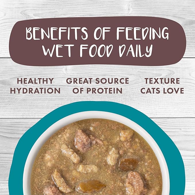 Weruva Classic Cat Stews!, Stew's Clues with Turkey, Chicken & Salmon in Gravy, 2.8oz Can (Pack of 12)