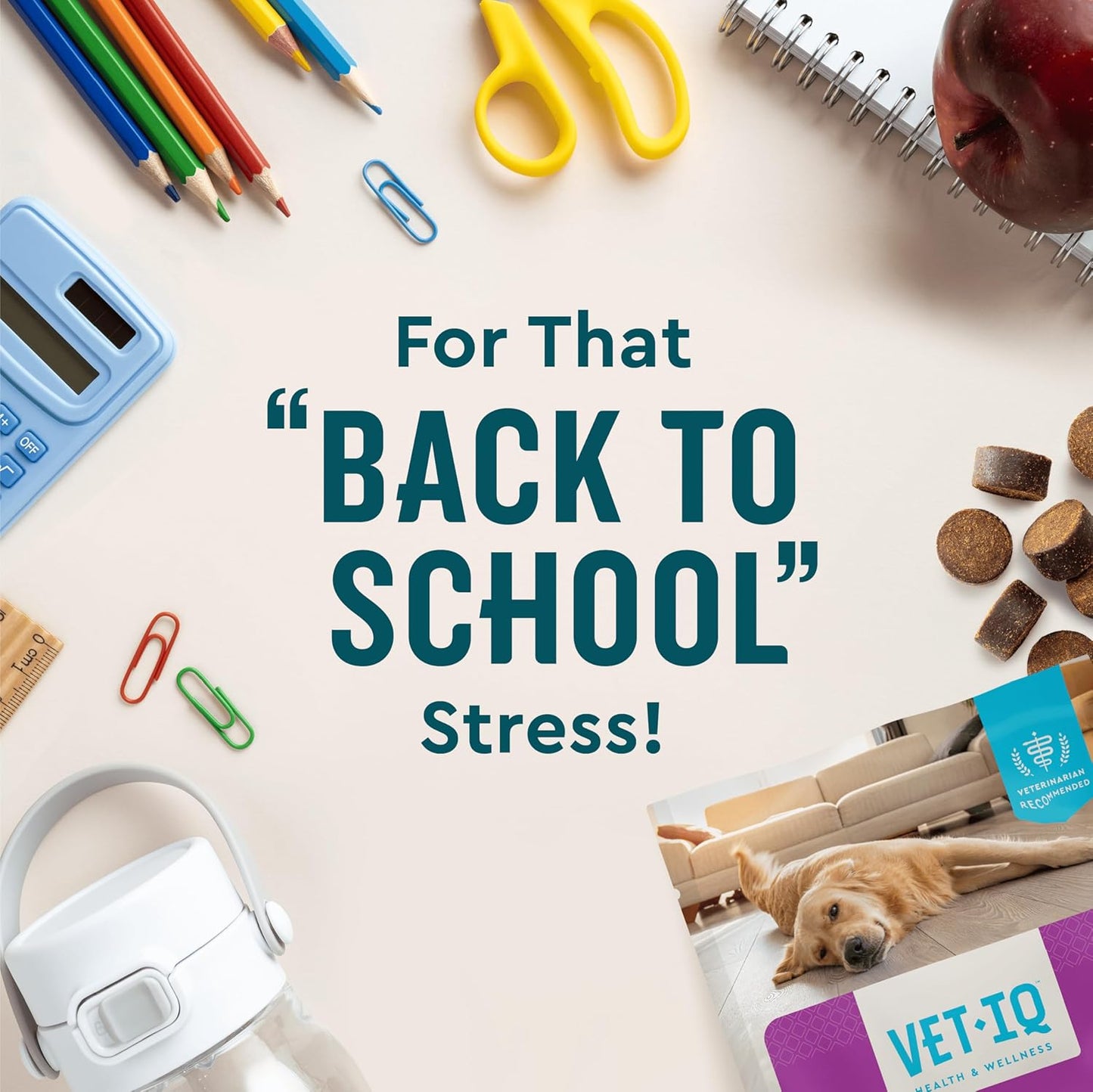 VetIQ Advanced Calming Support Supplement for Dogs, Calming Chews Help Manage Stress and Promote Relaxation, Anxiety Relief for Dogs, Made in The USA, 60 Count