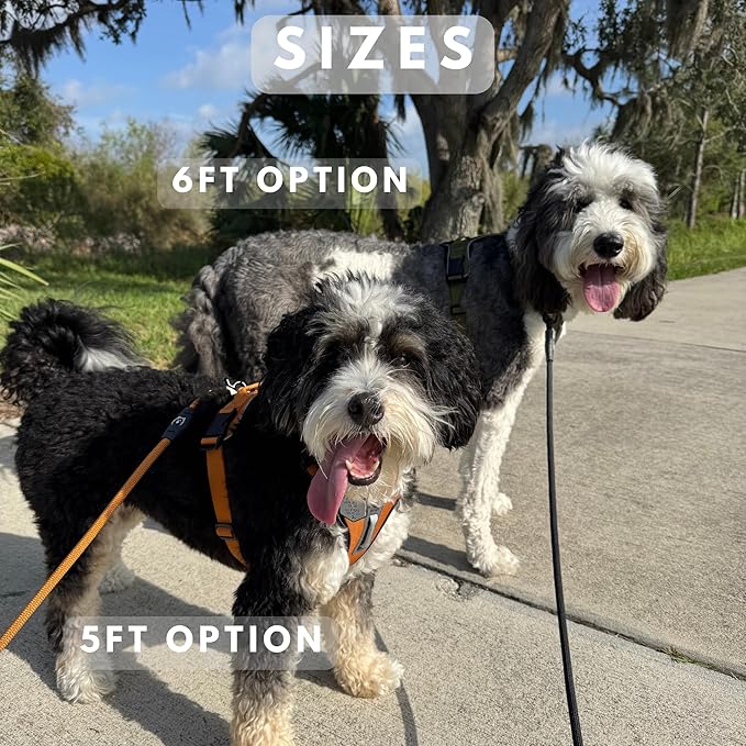 ShawnCo Basecamp Rope Dog Leash- Premium, Durable Pet Leash with Soft Neoprene Padded, Reflective Handle for Small, Medium and Large Dogs (Orchid, 6 Feet)