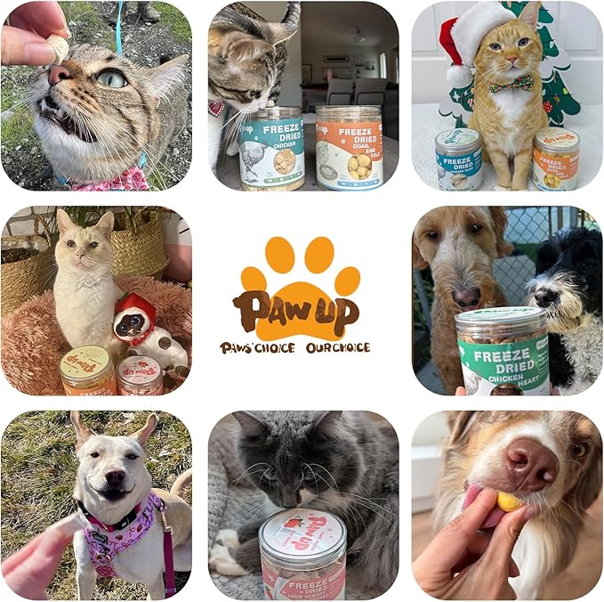 PAWUP Freeze Dried Cat & Dog Treats, Natural Quail Egg Yolk, Single Ingredient, High-Protein Pet Snacks for Skin & Coat Health, No Artificial Additives, 9.2 oz