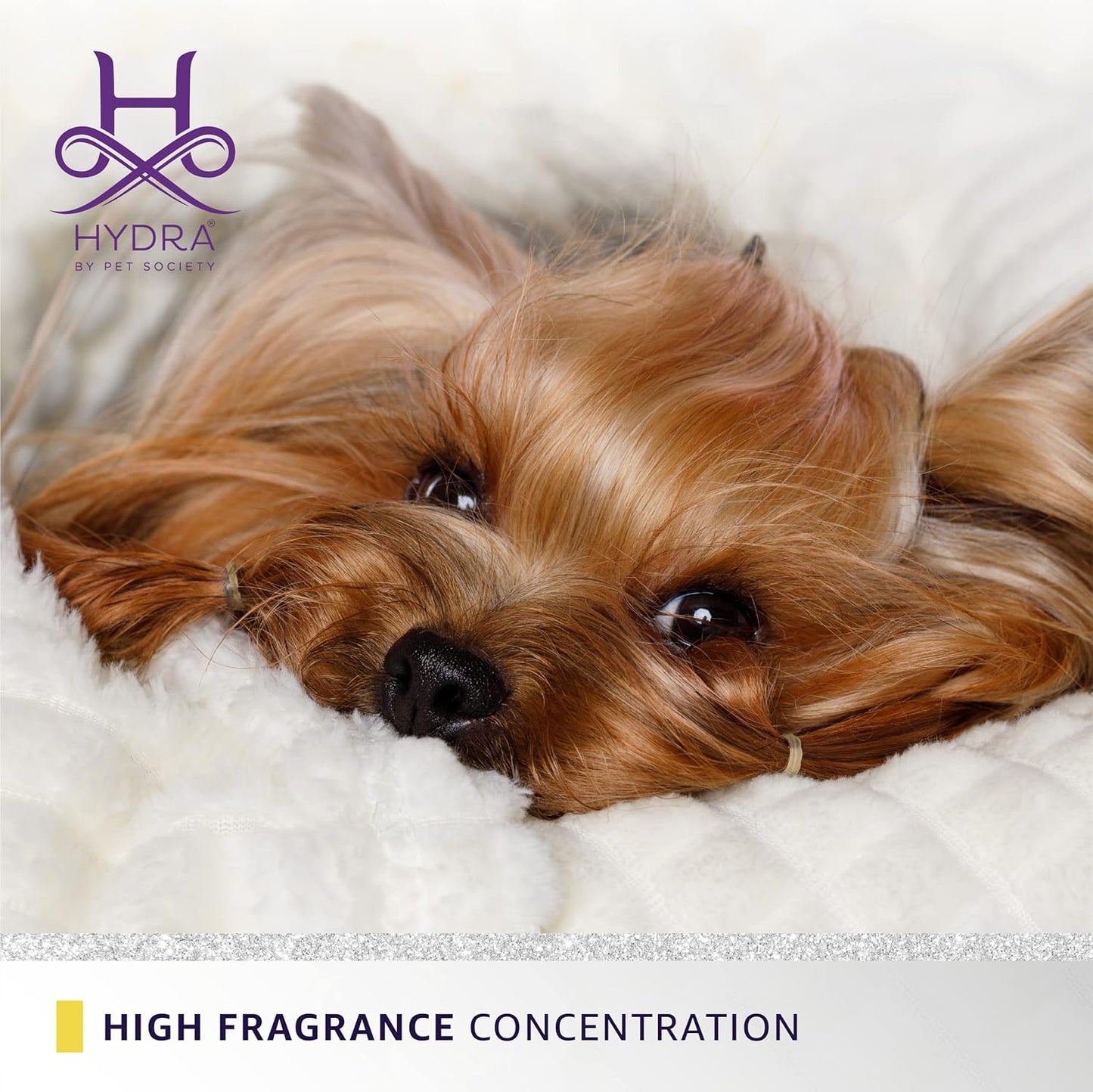 Hydra Forever Candy Pet Cologne, Finishing Cologne for Dogs and Cats, Grooming Spray, 4.4 Ounces