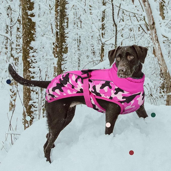 IECOii Extra Warm Dog Coat - Reflective Adjustable Jacket With Buckle Fleece Turtleneck for Cold Weather - Soft Winter Coat for Small Medium Extra Large Dogs