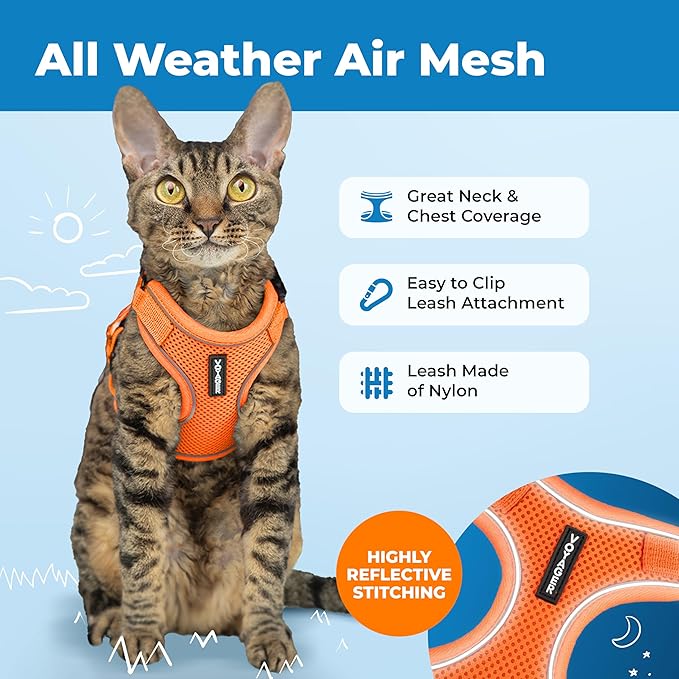 Voyager Escape Proof Cat Harness and Leash Set with Reflective Stitching, Neoprene Handle 5ft - Supports Small, Medium and Large Cats, Kittens for Walking by Best Pet Supplies - Orange, XS