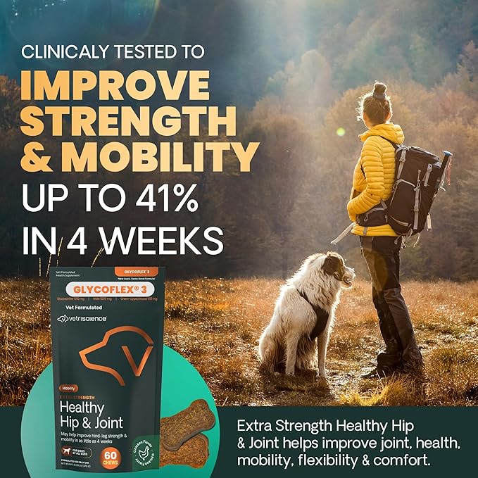 VetriScience Extra Strength Healthy Hip & Joint Chews, GlycoFlex Glucosamine & Green-Lipped Mussel Support Supplement for Dogs, Promote Mobility & Soothe Joint Discomfort, Chicken, 3 Pack