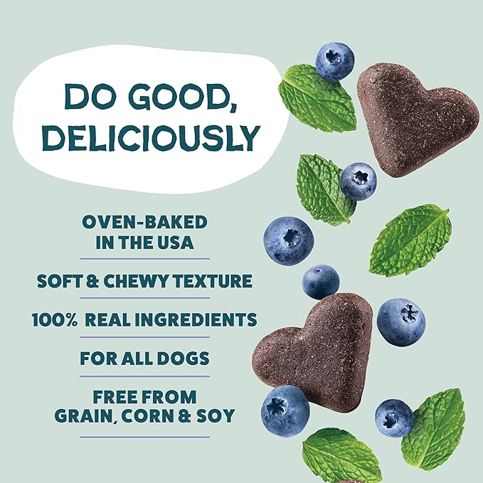 Shameless Pets Soft-Baked Dog Treats, Blueberried Treasure - Natural & Healthy Chews with Mint for Immune Support - Dog Biscuits Baked & Made in USA, Free from Grain, Corn & Soy - 1 Pound (Pack of1)