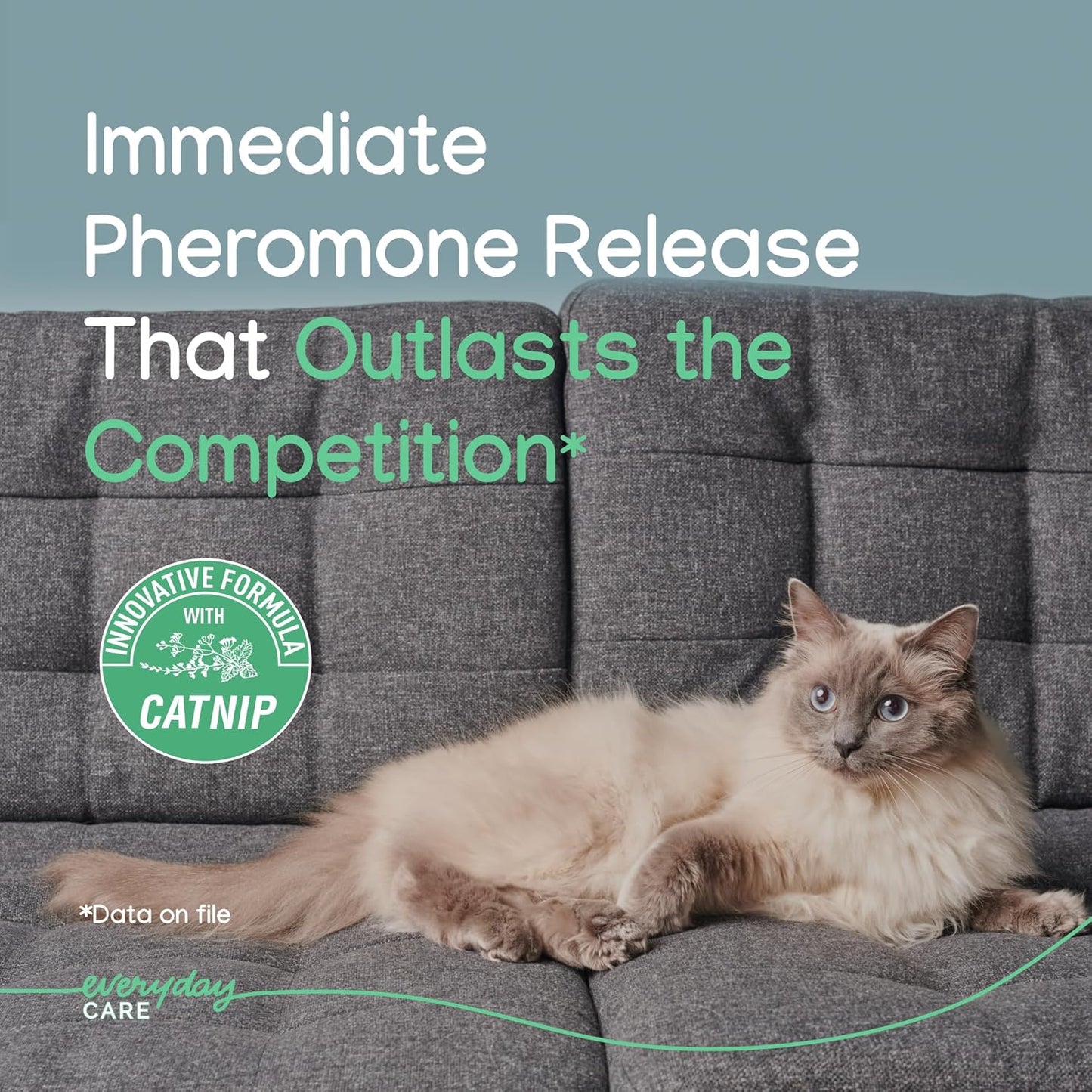 Virbac Zenifel Cat Spray for Managing Stress-Related Behaviors in Kittens & Cats - Quick-Acting - Ideal for Unexpected Stressful Situations - 1 Bottle