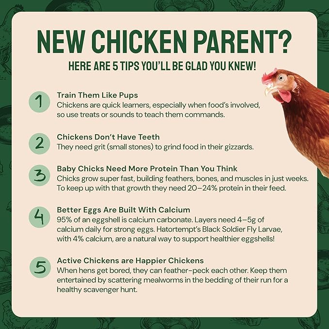 Dried Mealworm Bird Food - 20 Lb Bulk Pack - High Protein Poultry & Chicken Feed - Duck Food & Wild Bird Feed & Quail Treats