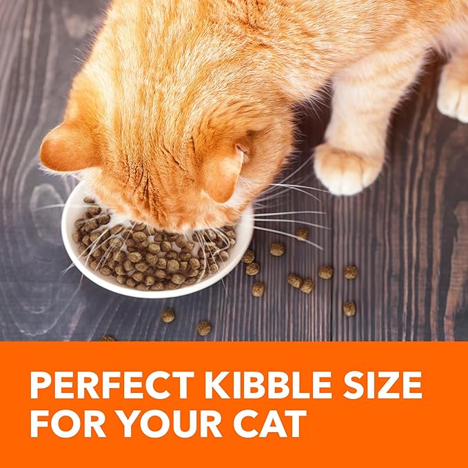 IAMS Proactive Health Adult Healthy Dry Cat Food with Real Salmon, 7 lb. Bag