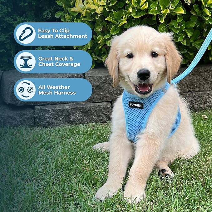 Voyager Step-in Air All Weather Mesh Harness and Reflective Dog 5 ft Leash Combo with Neoprene Handle, for Small, Medium and Large Breed Puppies by Best Pet Supplies - Set (Baby Blue), M