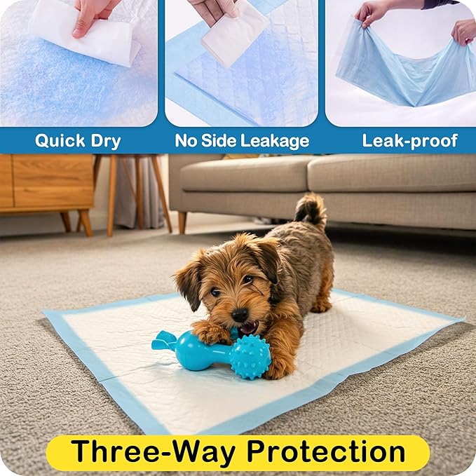 MoMoCo Puppy Pads 23"x23", 100 Count – Super Absorbent, Leak-Proof Potty Pads for Small Dogs & Puppies, Quick-Dry & Disposable