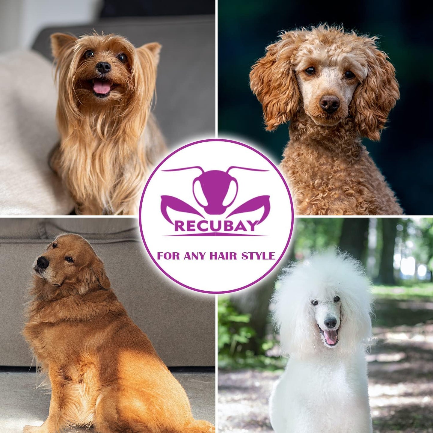 Dog Grooming Scissors, 7.0" Shears with Matte Deluxe Color, 56 Tooth thinning Shears