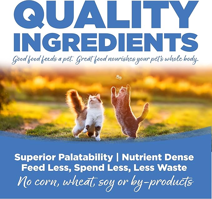 NutriSource Cat & Kitten Food, Made with Chicken Meal, Salmon and Liver, with Wholesome Grains, 16LB, Dry Cat Food