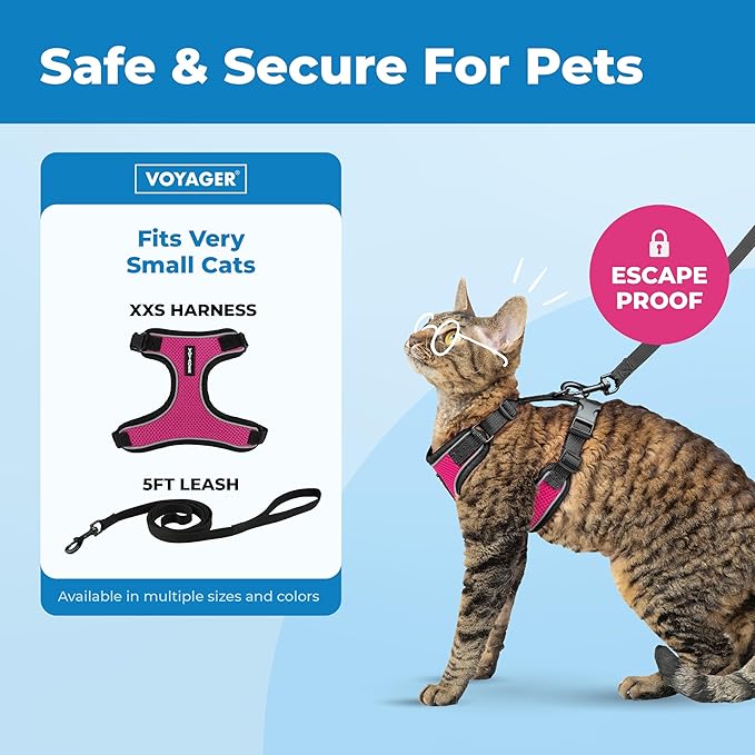 Voyager Escape Proof Cat Harness and Leash Set with Reflective Stitching, Neoprene Handle 5ft - Supports Small, Medium and Large Cats, Kittens for Walking by Best Pet Supplies - BT-Fuchsia, XXS