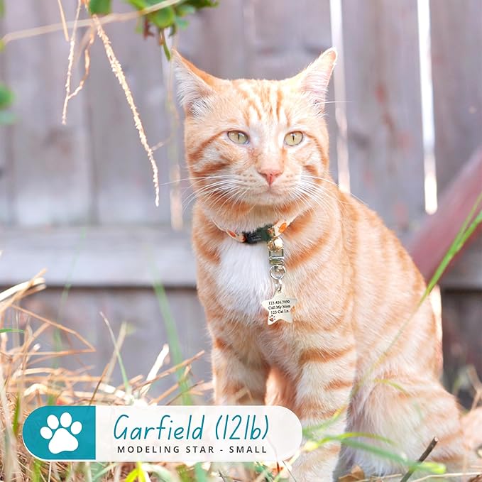 Ultra Joys Dog Tags Personalized for Pets - Hollow Paw Custom Pet ID Tag - Engraved Dog Tag for Small, Large Dogs - Large Star in Black