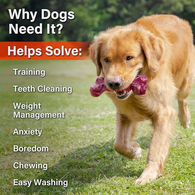 Apasiri Dog Toys for Aggressive Chewers Large Breed 2-Pack: Heavy Duty Chew Toys for Medium Dogs Indestructible Orange Dog Gift with Peanut Butter Flavor