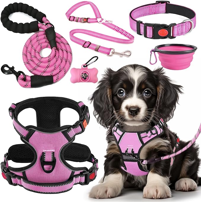 No Pull Dog Harness, Collar & Leash Set | Includes Dog Seat Belt, Collapsible Bowls & Poop Bag Dispenser. Ideal for Training, Walking, Hiking. Fits Small to Large Dogs(Pink-S)