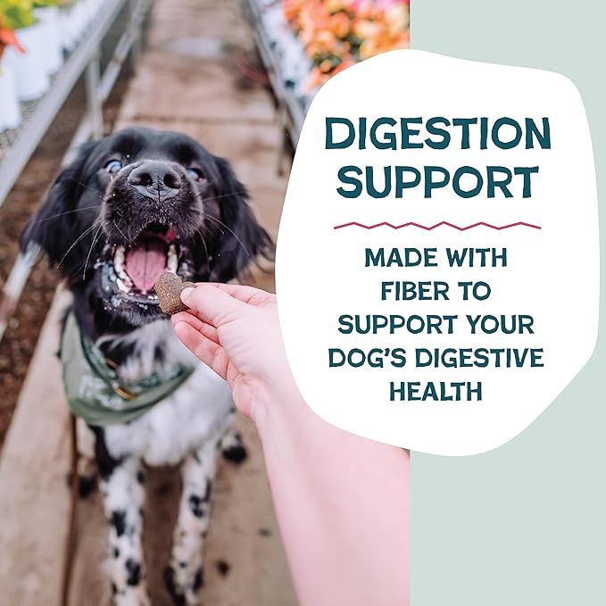 Shameless Pets Soft-Baked Dog Treats, Duck Duck Beet - Natural & Healthy Dog Chews for Digestive Support with Fiber - Dog Biscuits Baked & Made in USA, Free from Grain, Corn & Soy - 1-Pack