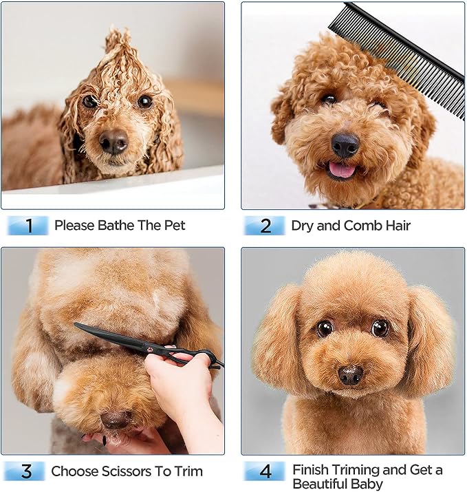 Gimars 7.0in Professional 4CR Stainless Steel Safety Round Tip 6 in 1 Dog Grooming Scissors Heavy Duty Titanium Coated Pet Grooming Scissor for Dogs, Cats and Other Animals