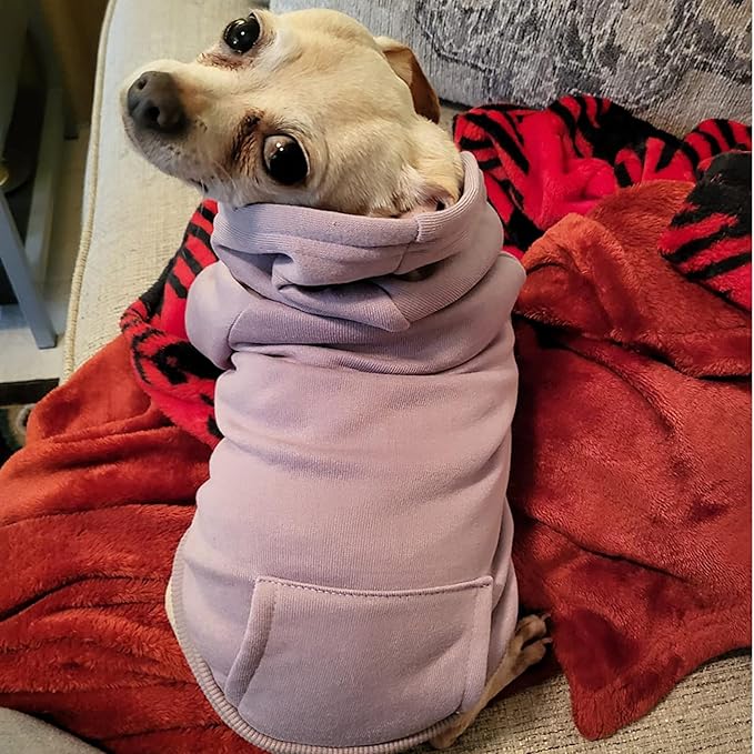 Jecikelon Winter Dog Hoodie Sweatshirts with Pockets Warm Dog Clothes for Small Dogs Chihuahua Coat Clothing Puppy Cat Custume (Purple, XX-Small)
