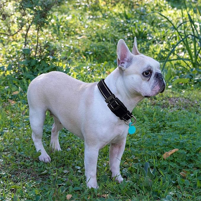 Reflective Dog Collar Padded with Soft Neoprene Breathable Adjustable Nylon Dog Collars for Small Medium Large Dogs (X-Small (Pack of 1), Black Collar+Leash)