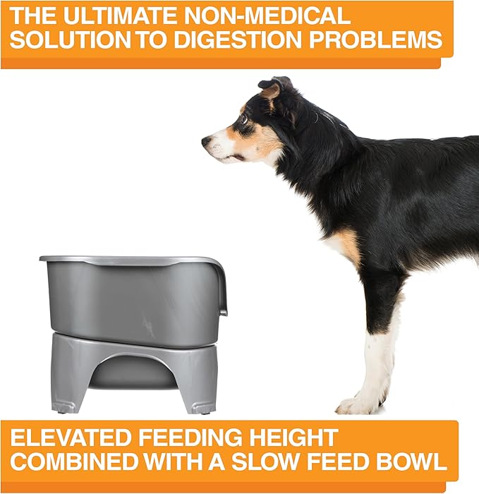 Neater Feeder - Express Model w/ Slow Feed Bowl - Mess-Proof Dog Bowls (M/L, Grey) Made in USA – Elevated, No Spill, Non-Tip, Non-Slip, Raised Stainless Steel Food/Water Pet Bowls Aid Digestion