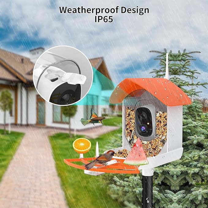 Bird Feeder with Camera,AI Identify Birds Species,Smart Birds Camera with Solar Powered,Auto Record FHD Feather Visitor Video in Backyard,Garden,Instant Notifications,Ideal Gifts for Family,Orange