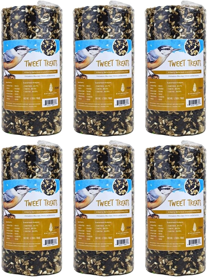 Birdseed Cylinders with Hole - Bird Seed for Outside Wild Birds (Small Cylinder, Tweet Treats 6pc)