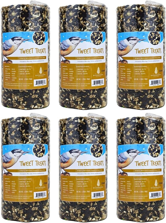 Birdseed Cylinders with Hole - Bird Seed for Outside Wild Birds (Small Cylinder, Tweet Treats 6pc)