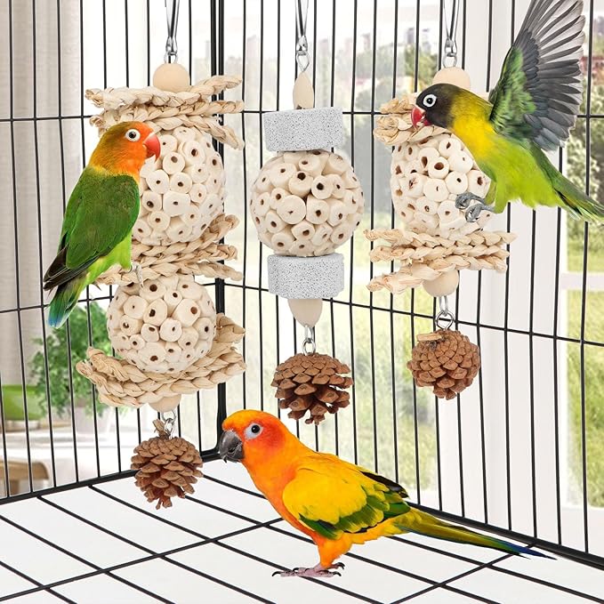 Wontee Bird Toys 3 Pack Parrot Foraging Hanging Toys Sola Ball Natural Nuts Chew Toys for Cockatiels Conures Parakeets Budgies Senegal (3 Pack)