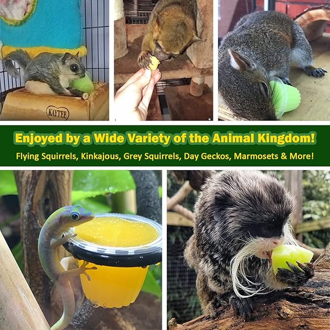 Nectar Pods (Melon) - Calcium-Fortified Jelly Fruit Treat - Sugar Gliders, Marmosets, Squirrels, Parrots, Cockatiels, Parakeets, Lovebirds, Conures, Hamsters, Day Geckos, Kinkajous & Other Small Pets