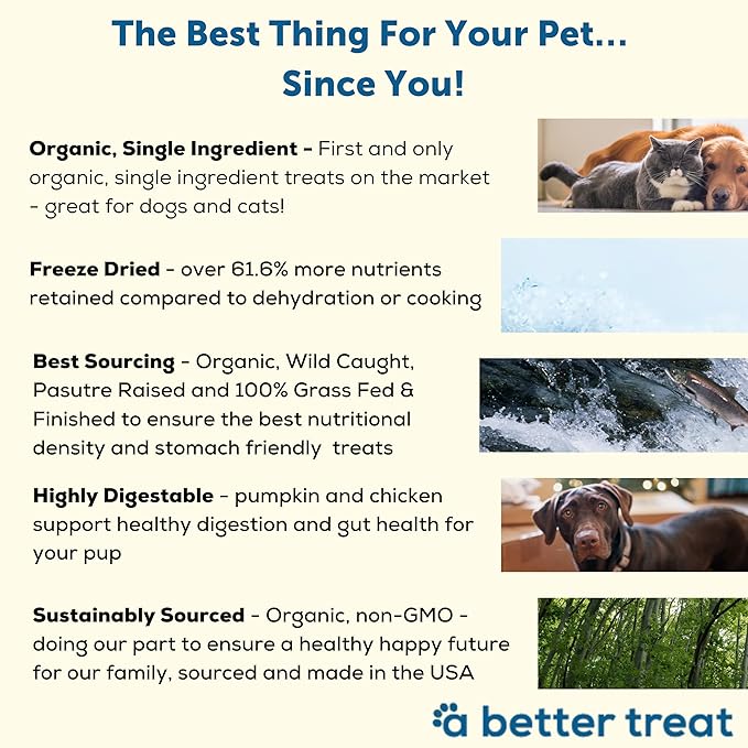 A Better Treat – Freeze Dried Organic Pumpkin, Wild Caught Salmon, Organic Grass Fed & Finished Pasture Raised Beef, Organic Chicken Dog and Cat Treats | Healthy, Diabetic Friendly | Made in The USA