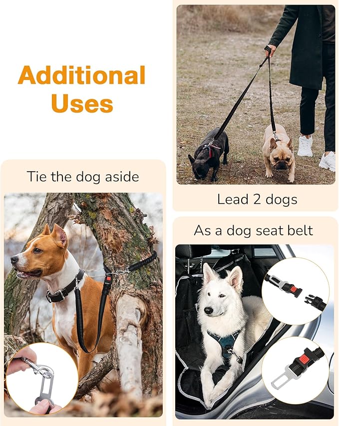 Pecute Dog Leash Hands Free with Pouch, Waist Belt Fanny Pack with Soft Pads, Dual Handles and Durable Bungee for Walking, Dog Seat Belt, Hiking, Running, Training,Blue(Up to 180lbs)