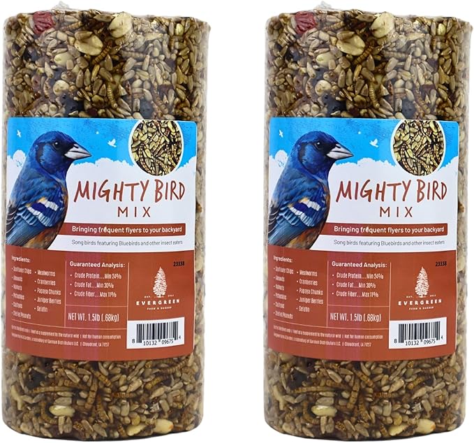 Birdseed Cylinders with Hole - Bird Seed for Outside Wild Birds (Small Cylinder, Mighty Bird Mix 2pc)