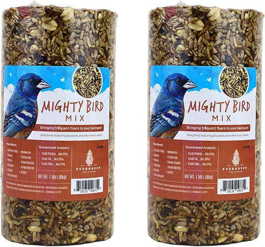 Birdseed Cylinders with Hole - Bird Seed for Outside Wild Birds (Small Cylinder, Mighty Bird Mix 2pc)