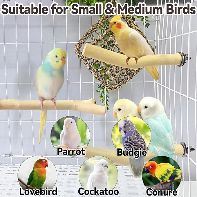 Hamiledyi Wood Bird Perch Stand Parrot Stand Branch Natural Wood Stick Paw Grinding Cage Accessories for Small Birds Parrots Parakeets Cockatiels Conures Lovebirds(2 Pcs)