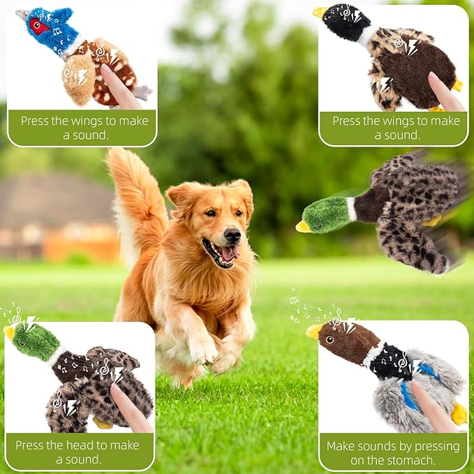 Dog Squeaky Toy Set – 4-Pack Durable Plush Duck, Pheasant, Goose for Small and Medium Dogs – Soft Bird Chew Toys with Crinkle Sound for Puppy Play, Interactive Training