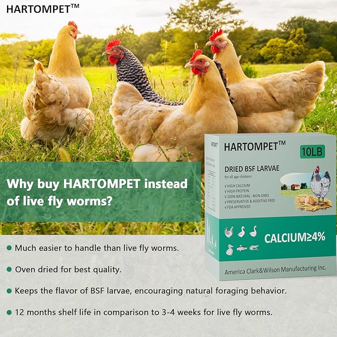 HARTOMPET Better Than Dried Mealworms for Chickens 10 lbs - 85X Calcium Than MealWorms - Non-GMO Chicken Feed Additive & Molting Supplement - black soldier fly larvae Treats for Hens, Ducks, Wild Bird