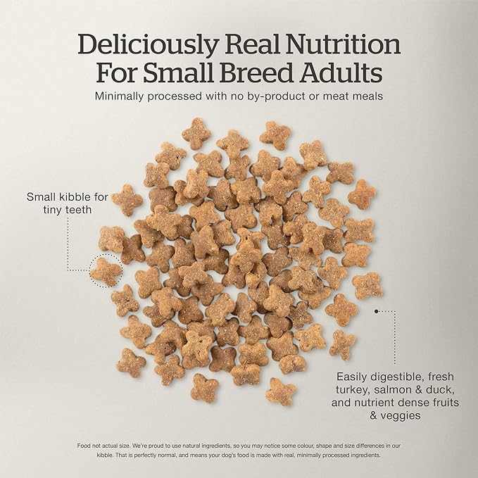Now Fresh Grain-Free Small Breed Dry Dog Food with Turkey, Salmon & Duck, Healthy Kibble for Adults Made with Real Meat & Fish, Chicken-Free Recipe, Pumpkin & Probiotics for Good Digestion, 6 lb Bag