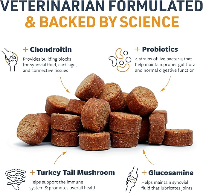 Veterinary Formula Senior Support Joint Supplement for Dogs - Soft Chews, 100ct - Support Healthy Joints, Skin, Gut, and Immunity with Glucosamine for Dogs