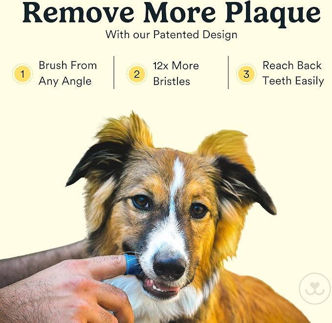 Jasper Dog Toothbrush, 360 Degree Pet Tooth Brushing Kit, Cat Toothbrush, Canine Dental Care & Teeth Cleaning Kit, Pet Finger Tooth Brush, Use with Dog Toothpaste, 4-Pack Multicolor