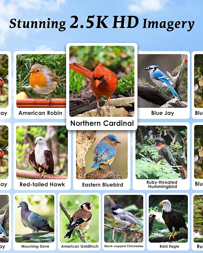 Smart Bird Feeder with Camera - 2.5K HD Bird Feeder Cameras Solar Powered, AI Birds Identification via App WiFi Outdoor Waterproof Birdhouse Watch Night Vision, 4000mAh Battery, Gift for Birdlovers