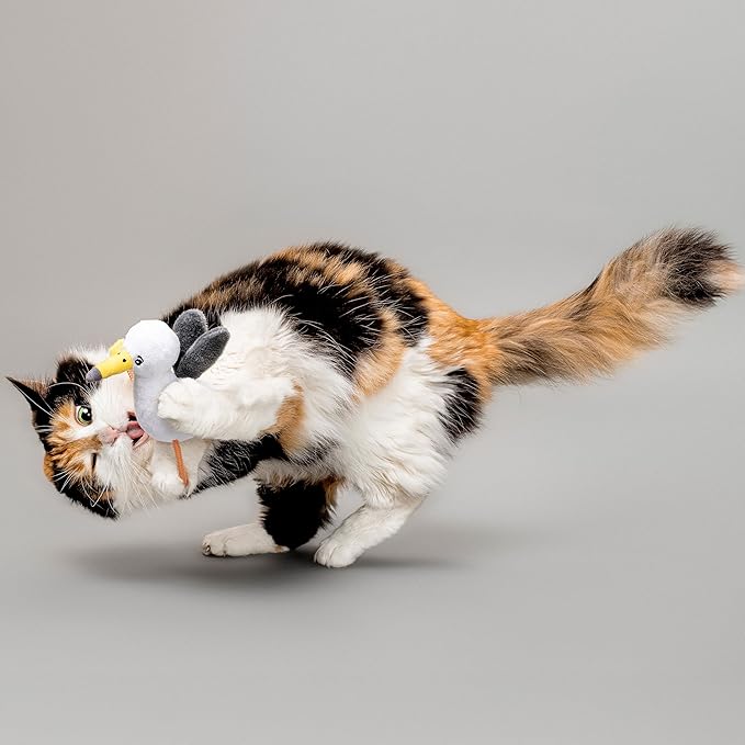 Cat Toys | Plush Toy Seagull Cat Toys for Indoor Cats | Eco Friendly Toy Made from Non Toxic Materials