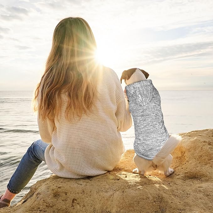 Dog Sweaters for Small Dogs Dog Hoodie Fleece Dog Sweater Soft Dog Clothes Sweatshirt with Pocket Dog Hoodie for Small Dogs Puppy Sweater(Grey&XS)