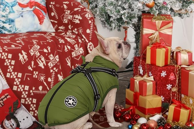 Aiboria Dog Jackets for Winter Windproof Waterproof 2 in 1 Outfit Cold Weather Coat Dog Vest Harness Puppy Winter Warm Jacket Green L
