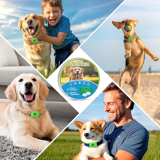 Natural Flea and Tick Prevention Dog Tag – 2 Pack Waterproof Collar Pendant with 4 Extra Refills, Green, Safe for All Breeds Collar Not Included