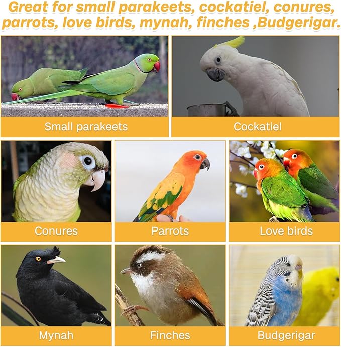 PINVNBY 2 Pack Parrot Toys Chewing Bird Toy Cuttlebone Beak Grinding Stone Cage Hanging Toys with Bell for African Greys Amazon Conure Eclectus Budgies Parakeet Cockatiel Hamster Chinchilla